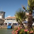 Le port de Palavas-les-Flots